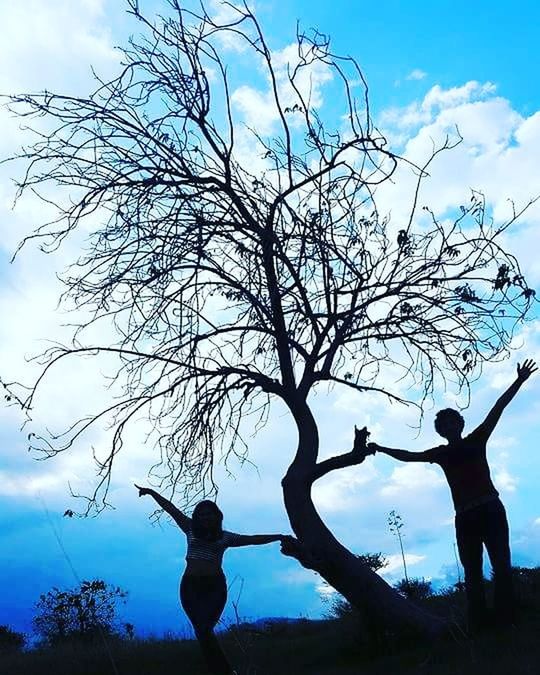 LOW ANGLE VIEW OF BARE TREES AGAINST SKY