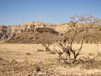 Scenic view of desert against clear sky