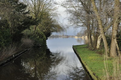 Reflection of trees in lake