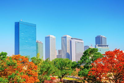 Trees and modern buildings in city against blue sky