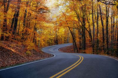 Road amidst trees during autumn