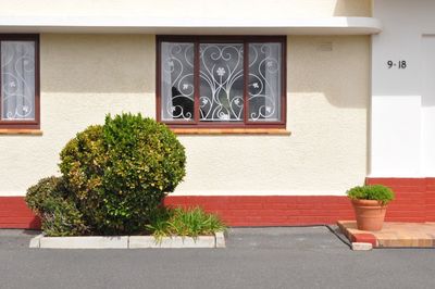 Potted plants outside house