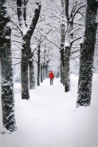 Rear view of people walking on snow covered land