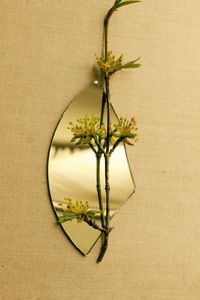 Directly above shot of potted plant on table