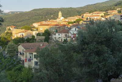 High angle view of townscape by trees