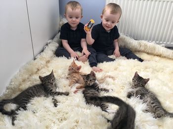 Brothers playing with cats on rug at home