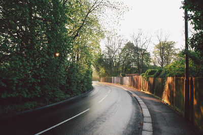 Wet empty road by trees