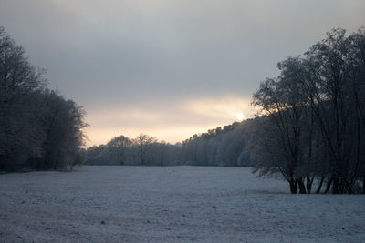 Trees on snow covered field against sky