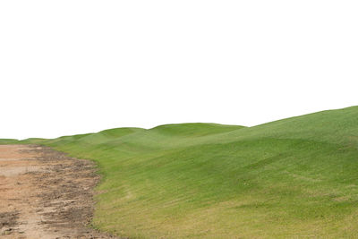 Scenic view of field against clear sky