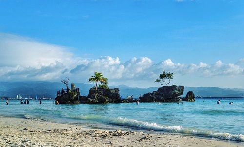 View of palm trees on beach