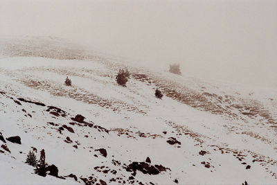 Scenic view of snow covered land against clear sky