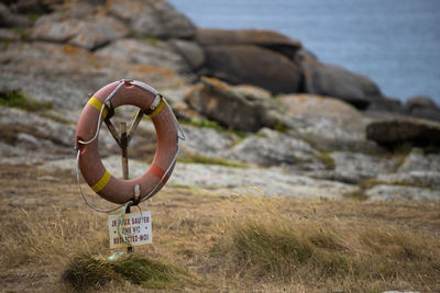 Close-up of snake on rock