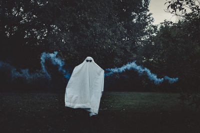 Sheet ghost casts spooky vibes with blue smoke in the forest