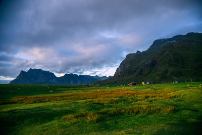 Scenic view of field and mountains against sky during sunset, lofoten, norway