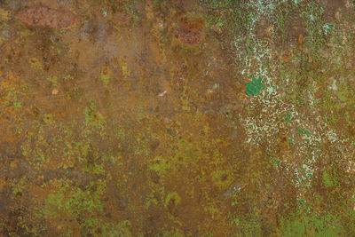 Full frame shot of weathered wall