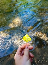 Cropped image of person holding yellow leaf