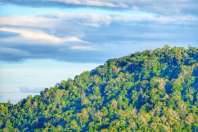 Scenic view of tree mountain against sky