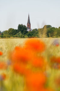 View of church