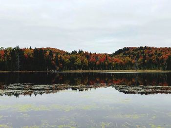 Scenic view of lake by trees against sky