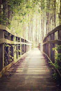 Footbridge in forest