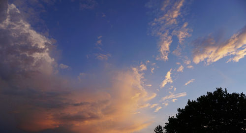 Low angle view of silhouette trees against sky at sunset