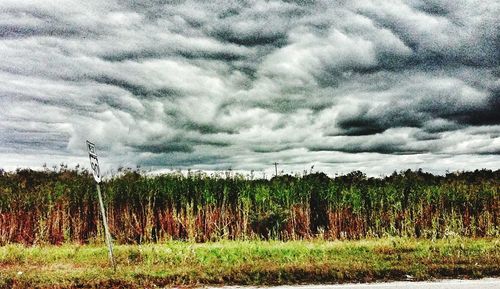 Scenic view of landscape against cloudy sky