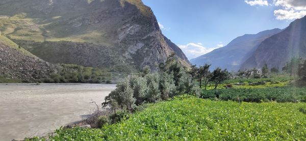 mountain