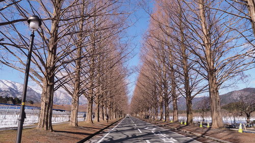 Road amidst bare trees against sky during winter