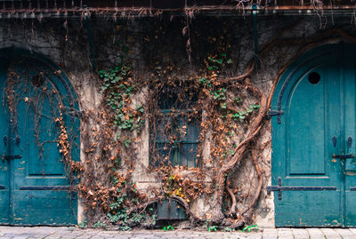 Closed door of old building