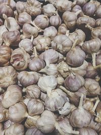 Full frame shot of onions for sale