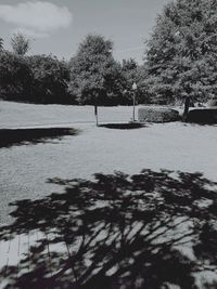 Trees on field against sky during winter