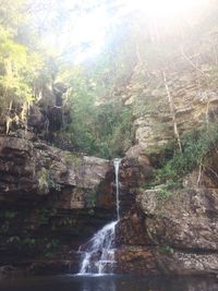 Low angle view of waterfall in forest against sky