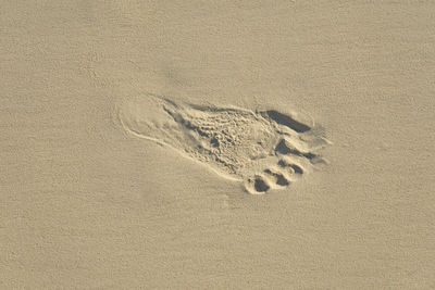 sand