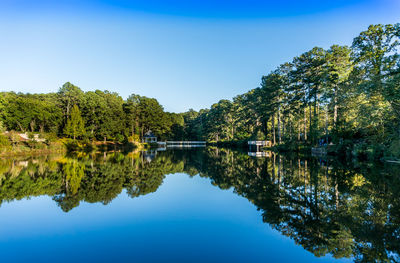 Reflection of trees in calm lake