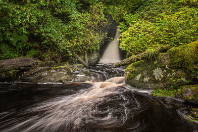 Black spout waterfall in fin glen in the campsie fells, scotland