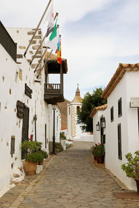 Cactus garden in the small town of betancuria, fuerteventura, canary islands