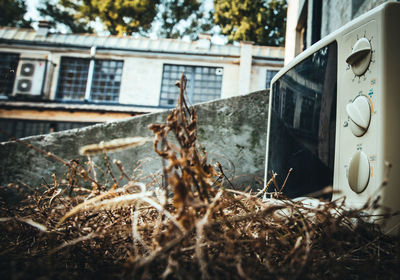 Close-up of horse sculpture