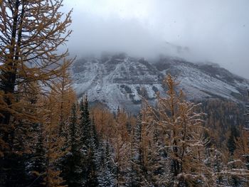 Scenic view of mountains against sky during winter