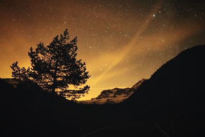 Low angle view of silhouette trees against sky at night