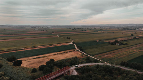 Fields of gold