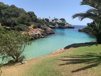 Scenic view of sea against clear blue sky