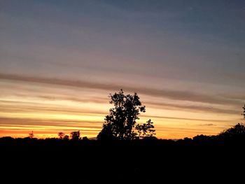 Silhouette trees on field against sky during sunset