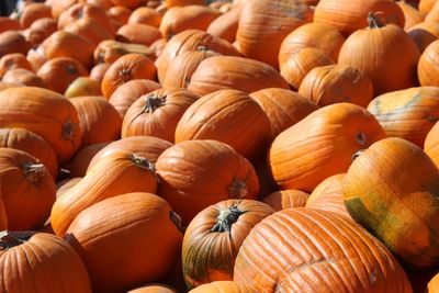 Full frame shot of pumpkins for sale at market stall