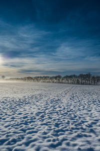 Trees in frosty landscape with rime frost, denmark