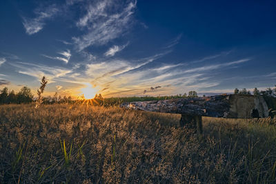 Scenic view of field against sky during sunset