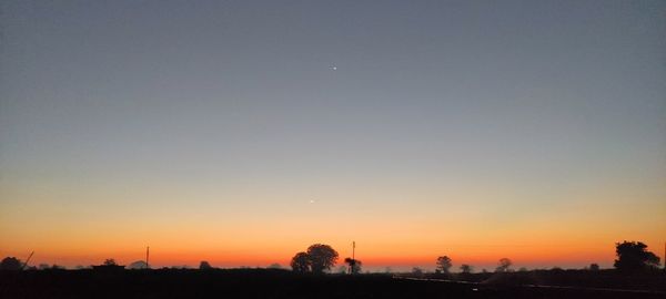 Silhouette trees against clear sky during sunset