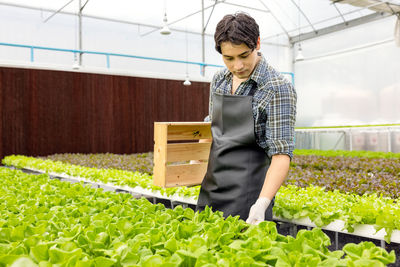 Men working in greenhouse