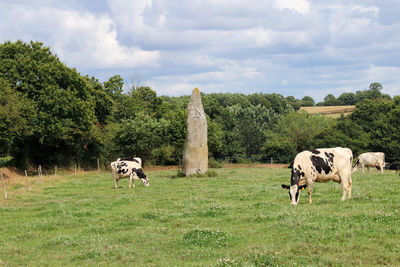 Menhir of kerguezennec in the middle of grassland, begard, brittany, france