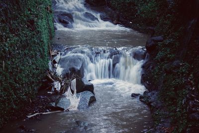 Scenic view of waterfall in forest