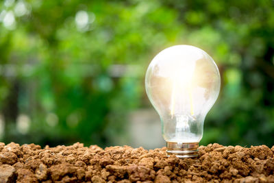 Close-up of light bulb on table